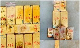 Vụ bắt 51kg vàng: Phó thủ tướng Trương Hòa Bình gửi thư khen Công an An Giang