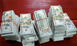 470.000 USD đang bị thu giữ chưa có ai đến nhận.