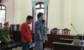 Các bị cáo Tài (áo đỏ), Tiên (ở giữa) và Tú tại phiên tòa - Ảnh: Kim Hà