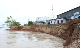 An Giang tiếp tục ứng 24 tỉ đồng khắc phục sự cố sạt lở QL91