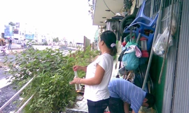 Nhà siêu mỏng, phòng ngủ đủ một người