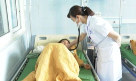 14 người nhập viện nghi ngộ độc nấm ở Lai Châu