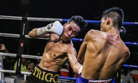 Võ sĩ Trần Văn Thảo tập luyện 'đổ máu' cho trận tranh đai vô địch IBA thế giới