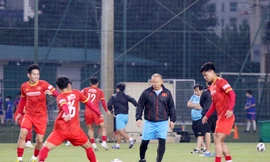 HLV Park Hang-seo: 'Đội tuyển Việt Nam sẽ phát huy năng lực ở AFF Cup'