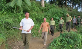 Người gác rừng trực tính