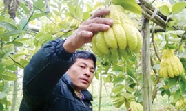 Làng tỷ phú nhờ “bàn tay Phật”