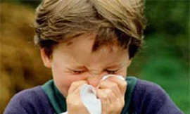 Vượt cơn cảm cúm bằng thực phẩm
