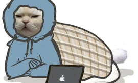 Rảnh rỗi sinh nông nổi, các “sen” có dám tham gia thử thách làm méo mặt “hoàng thượng“?