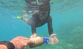 Hàng trăm bạn trẻ tham gia chương trình ‘Lặn biển nhặt rác - Giải cứu san hô’