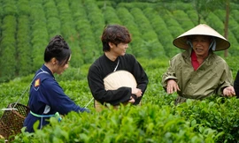 Ca sĩ Thái ngân và Phương Mỹ Chi đốt lửa trại cùng sinh viên xứ trà