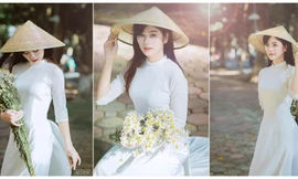 Thiếu nữ Hà thành thướt tha tà áo dài bên cúc hoạ mi