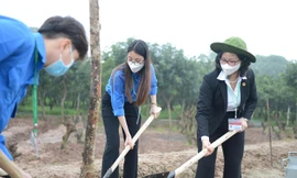 Sinh viên Nông nghiệp hưởng ứng ‘Tết trồng cây’ xuân Nhâm Dần 2022