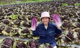 Bỏ công việc thành phố về rừng 'livetream' bán hàng nông sản