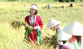 9X xứ Thanh khởi nghiệp thành công với mô hình vườn rừng bản Thổ