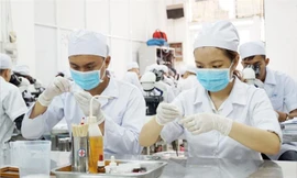 Trường ĐH Y Hà Nội đào tạo khẩn cấp về chẩn đoán, điều trị COVID-19 cho miễn phí.