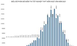 Gần 15.000 thí sinh đạt điểm 9 trở lên ở môn Ngữ văn
