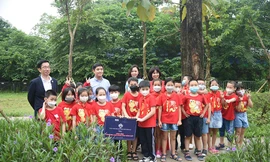 Khởi động những cây xanh trong lòng thành phố