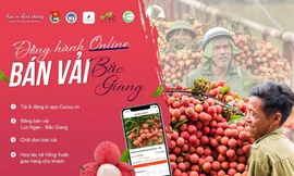 Phát động chiến dịch tình nguyện ''Đồng hành online - bán vải Bắc Giang''