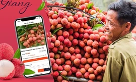 Công bố Báo cáo tổng quan nông nghiệp số Việt Nam 2021