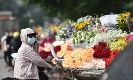 Cảnh tấp nập người mua, kẻ bán chợ hoa ngày 20/10