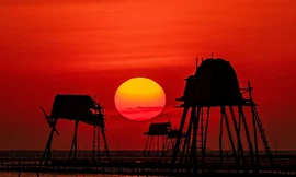 Chùm ảnh 'biển vô cực' ở Thái Bình hút giới trẻ mê xê dịch, săn khoảnh khắc đẹp ngỡ ngàng của thiên đường nơi hạ giới