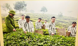 Những khó khăn, thách thức và giải pháp trong công tác trại giam tại Việt Nam 