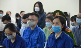 Xét xử nhóm cán bộ 3 ngân hàng 'tiếp tay' lừa đảo hơn 430 tỷ đồng