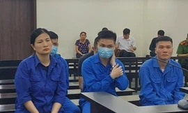 Nhóm nhân viên sân bay Nội Bài giúp sức buôn lậu ngà voi, sừng tê giác