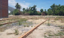 Bà chủ công ty bất động sản ở Hà Nội 'vẽ dự án ma' chiếm đoạt 60 tỷ của khách hàng