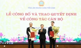 Bổ nhiệm Chánh Văn phòng Tòa án nhân dân Tối cao