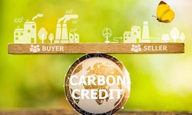 Sẽ có hai loại hàng hóa được giao dịch trên thị trường carbon