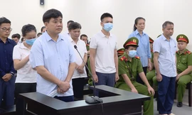 Vụ 'thổi giá cây xanh': Cựu Chủ tịch Hà Nội Nguyễn Đức Chung bị tuyên phạt 18 tháng tù