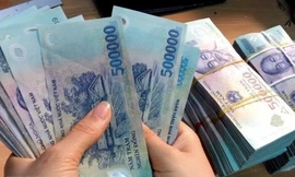 Bà già 80 tuổi lừa đảo hơn 1 tỷ đồng rồi vung tiền đi thẩm mỹ viện 