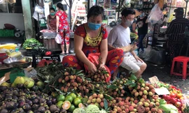 Vải đầu mùa, vừa ‘chào sân’ đã rớt giá