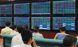 Nhà đầu tư quan việc đầu tư vào cổ phiếu nào năm 2019 để sinh lợi