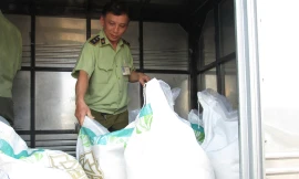 QLTT TPHCM kiểm tra các cửa hàng kinh doanh đường thì 100% đều vi phạm