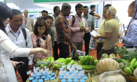 Triển lãm rau hoa quả tổ chức lần đầu tiên đã thu hút nhiều doanh nghiệp ngoại