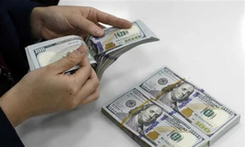 Hơn 4,3 tỷ USD kiều hối đổ về TPHCM