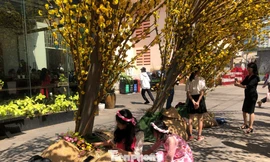 Những tiểu cảnh trang trí bị khách tham quan tận dụng làm đệm ngồi nghỉ mệt