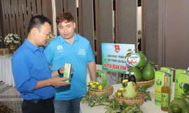 Tham quan sản phẩm của thanh niên tỉnh Đồng Nai