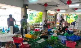 Nhiều tổ chức, đơn vị cung cấp rau củ "phi lợi nhuận" tới người dân TPHCM trong thời gian giãn cách
