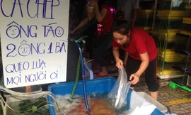 Cá chép bắt đầu sốt giá ngày ông Công ông Táo