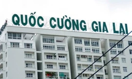 Cổ phiếu Quốc Cường Gia Lai tiếp tục 'lao dốc'