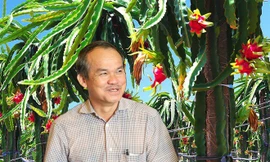 Bầu Đức muốn thoái vốn khỏi mảng bất động sản để tập trung đầu tư vào nông nghiệp