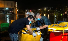 Chợ Bình Điền hoạt động dưới dạng điểm tập kết, trung chuyển thực phẩm