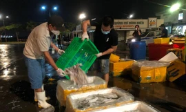 Thương nhân Bình Điền hoạt động trở lại sau 2 tháng chợ tạm đóng cửa