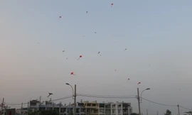 Những cánh diều no gió ở Sài Gòn