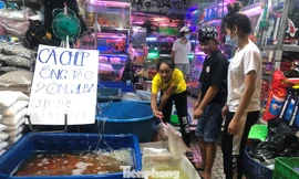 Người TPHCM tranh thủ mua cá chép trước ngày ông Công, ông Táo