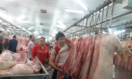 TPHCM sẽ bán thịt heo như... chứng khoán