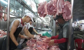 Chỉ trong vòng 1 tuần, heo hơi đã tăng giá "10", tức 10.000 đồng/kg